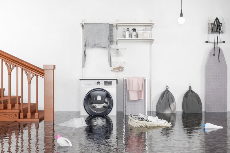 What to Do When Your Basement Floods in Allegheny County